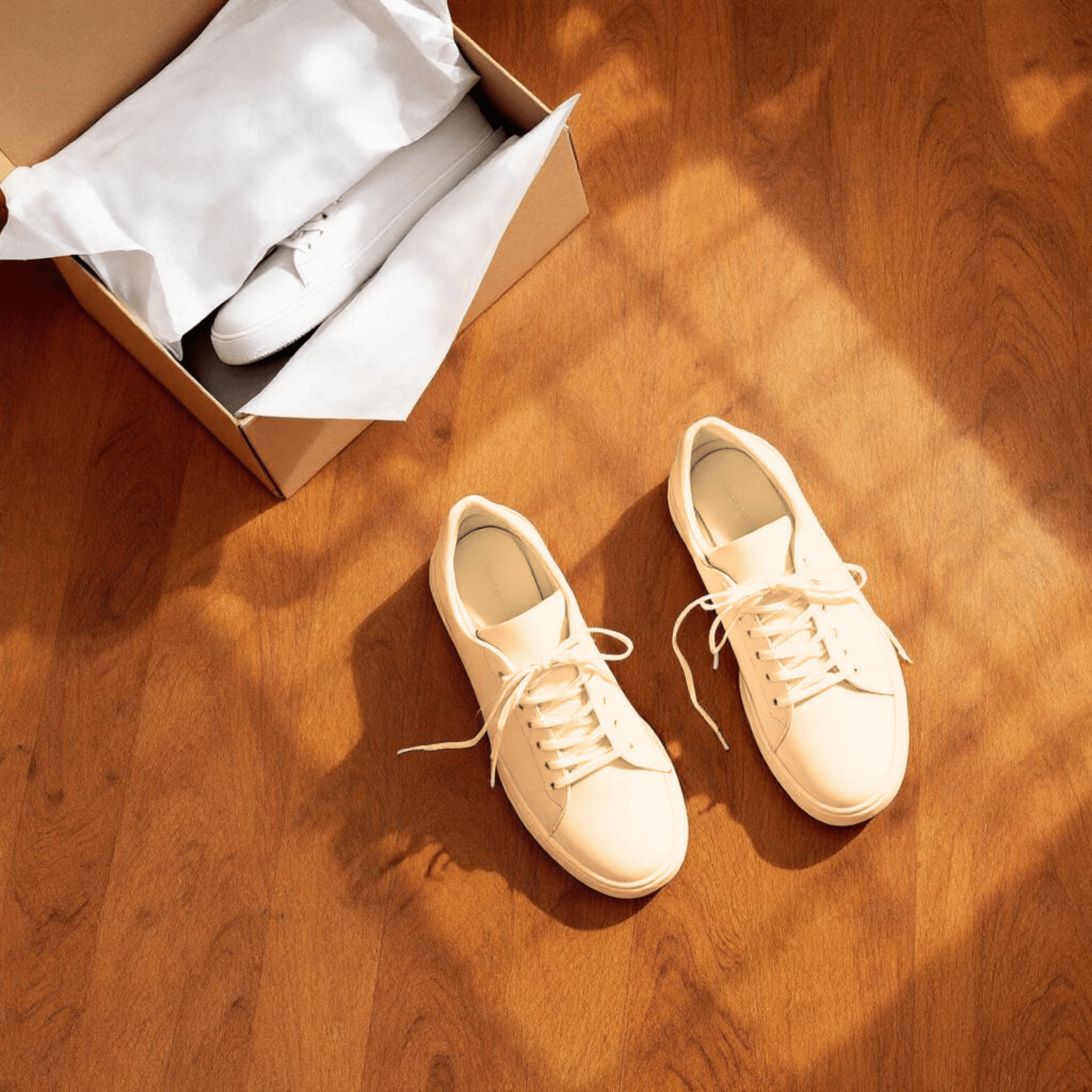 Sneakers (Minimalist Sneakers)